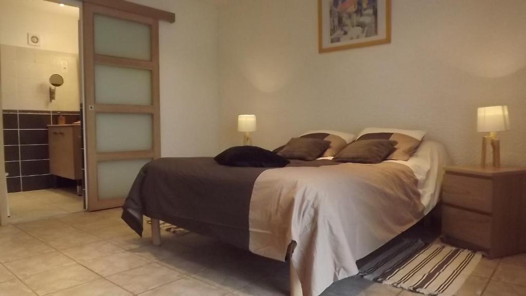 Chambres D'Hotes- Le Pre Aux Anes Альбон Номер фото